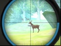 Juego Hunter Training
