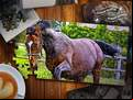 Juego Jigsaw Puzzle Horses Edition